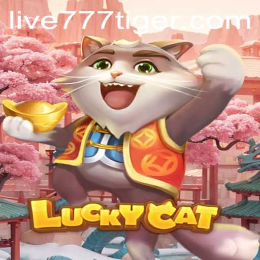 Unveiling the Thrills of LuckyCat and the Enigmatic 777tiger